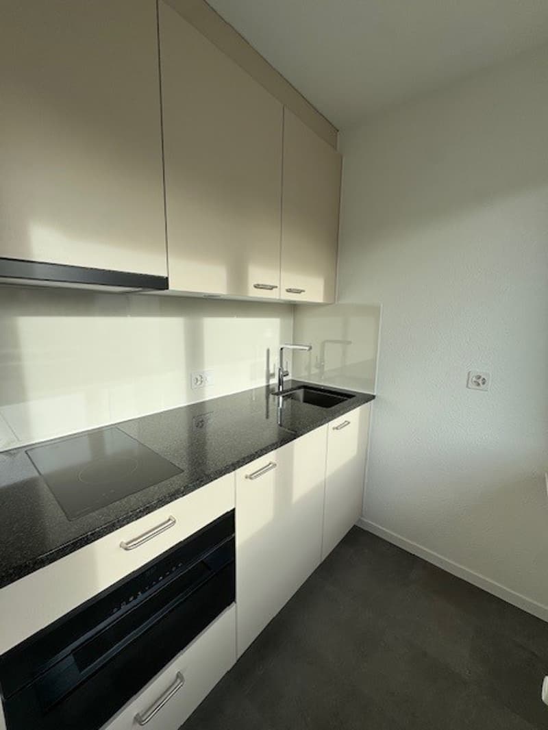 1.5-Zimmerwohnung im Breitenrain mit grossem Balkon (3)