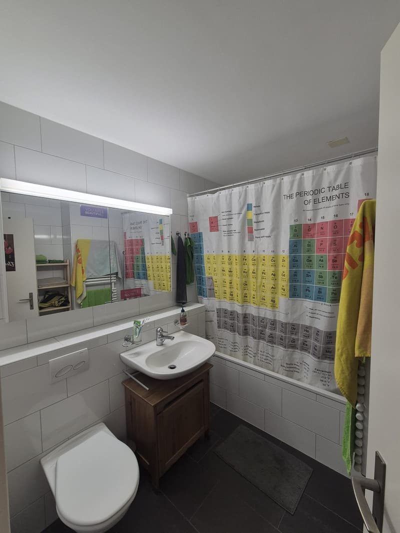 WG Zimmer in Bümpliz (6)