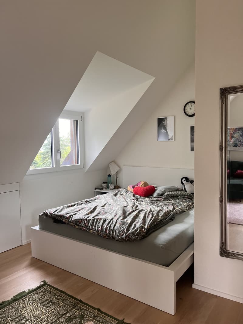 1 ½ Zimmer-Wohnung, 9000 St. Gallen (3)