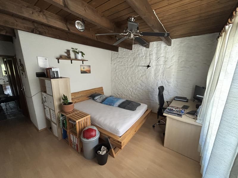 WG Zimmer im Herzen der Badener Altstadt in 4er WG (1)