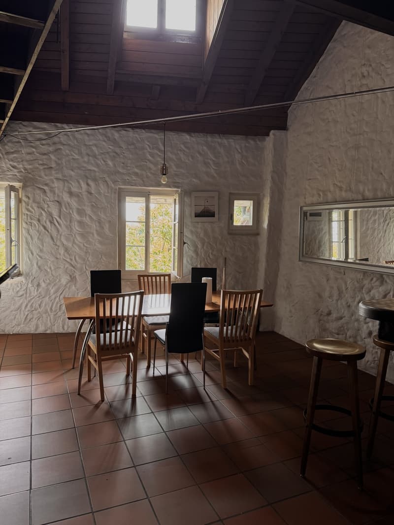 WG Zimmer im Herzen der Badener Altstadt in 4er WG (8)
