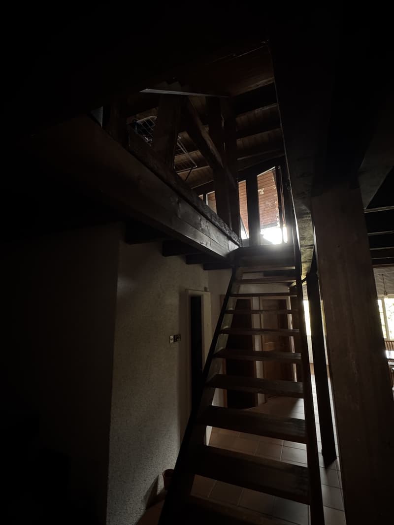 WG Zimmer im Herzen der Badener Altstadt in 4er WG (10)