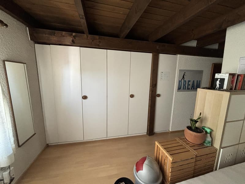 WG Zimmer im Herzen der Badener Altstadt in 4er WG (4)