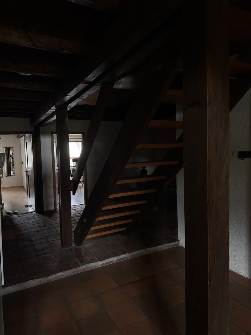 WG Zimmer im Herzen der Badener Altstadt in 4er WG (11)