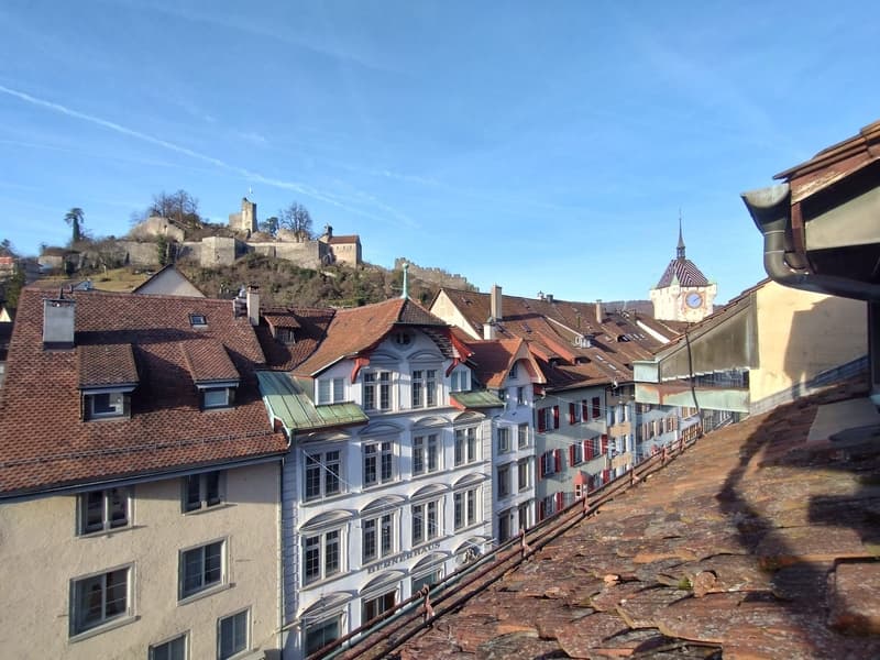 WG Zimmer im Herzen der Badener Altstadt in 4er WG (5)