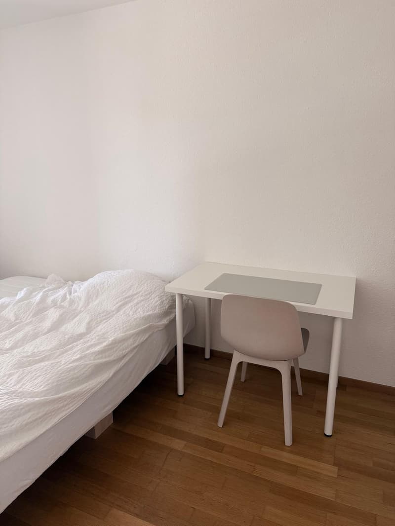 Central, furnished room in Zurich (3)