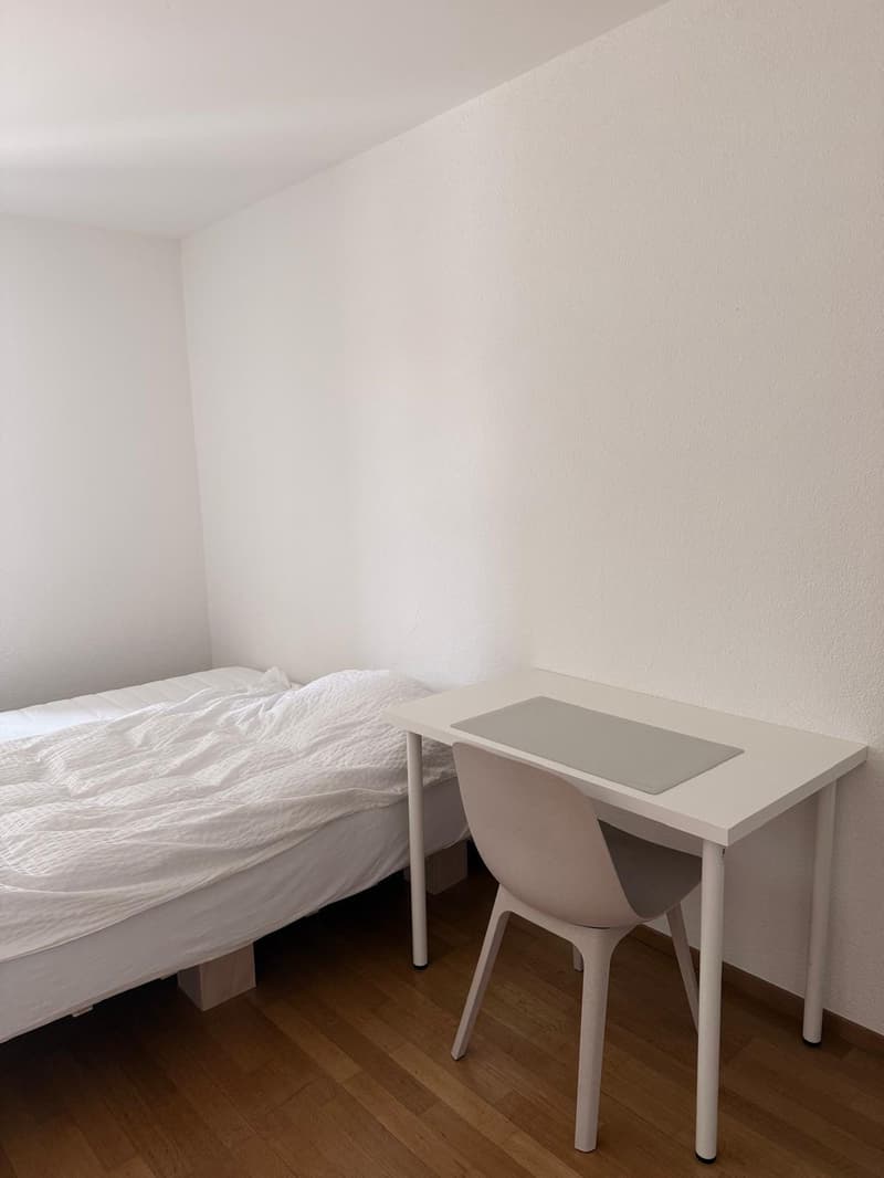 Central, furnished room in Zurich (1)