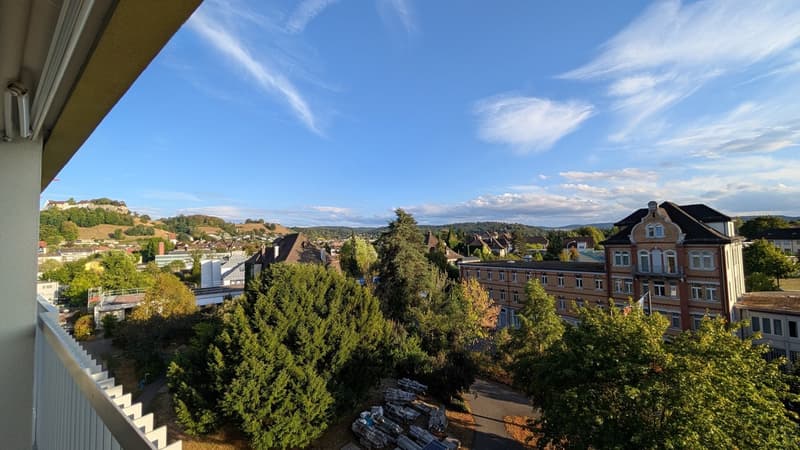 1.5-Zimmer Perle mit top Aussicht in Lenzburg (4)