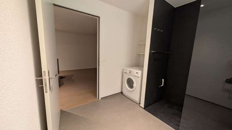 1.5-Zimmer Perle mit top Aussicht in Lenzburg (10)
