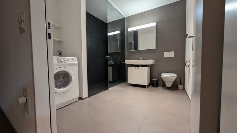 1.5-Zimmer Perle mit top Aussicht in Lenzburg (8)