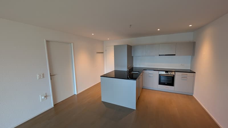 1.5-Zimmer Perle mit top Aussicht in Lenzburg (5)