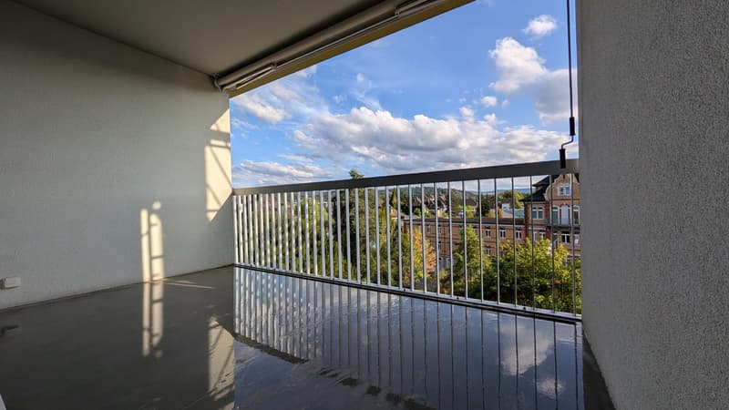 1.5-Zimmer Perle mit top Aussicht in Lenzburg (12)