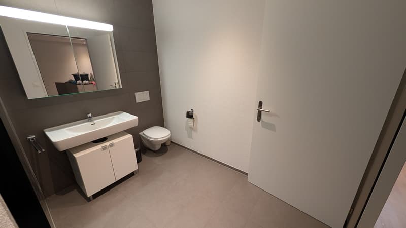 1.5-Zimmer Perle mit top Aussicht in Lenzburg (9)