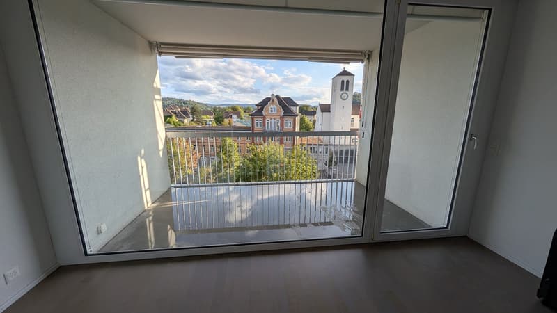 1.5-Zimmer Perle mit top Aussicht in Lenzburg (11)