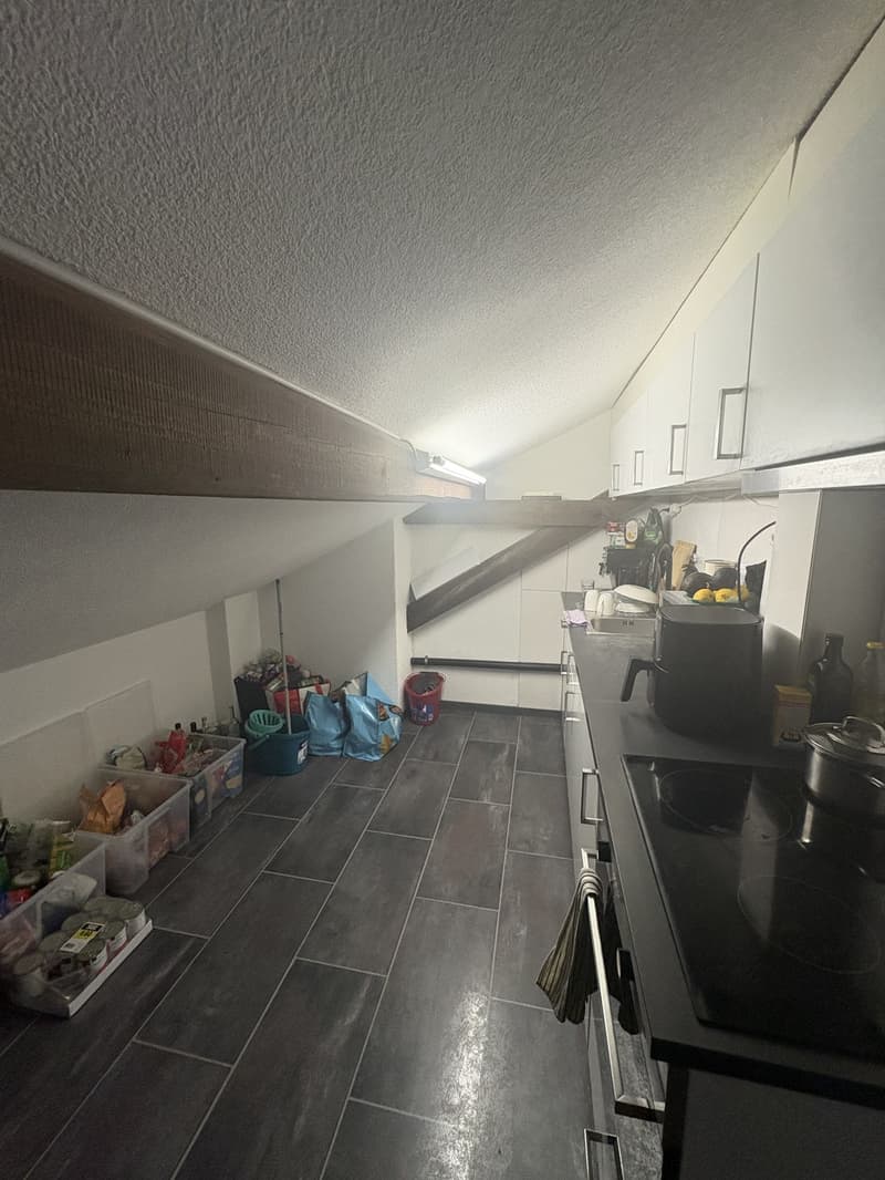 Helle 2,5 Dachwohnung an der Überlandstrasse 11, 8953 Dietikon (3)