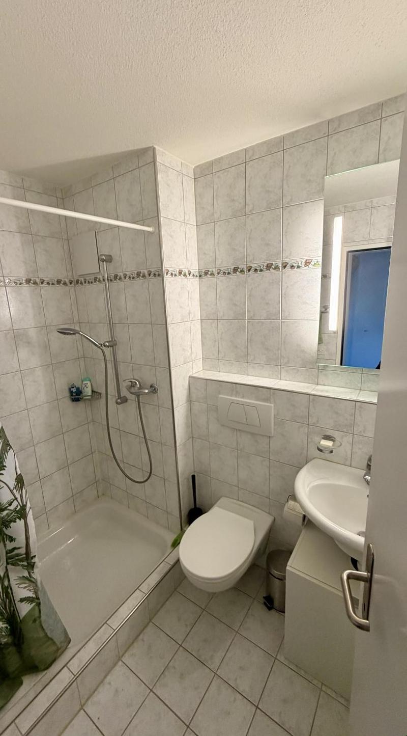 Nice Room with Private Bathroom in Zug - Long-Term Rental (2)