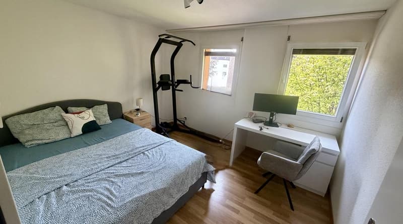 Nice Room with Private Bathroom in Zug - Long-Term Rental (1)