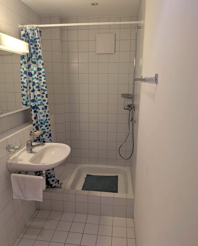 Gemütliche kleine Wohnung in Baden-Dättwil - Naturnah und zentral (6)