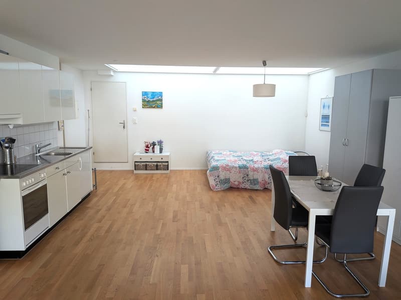 Gemütliche kleine Wohnung in Baden-Dättwil - Naturnah und zentral (3)