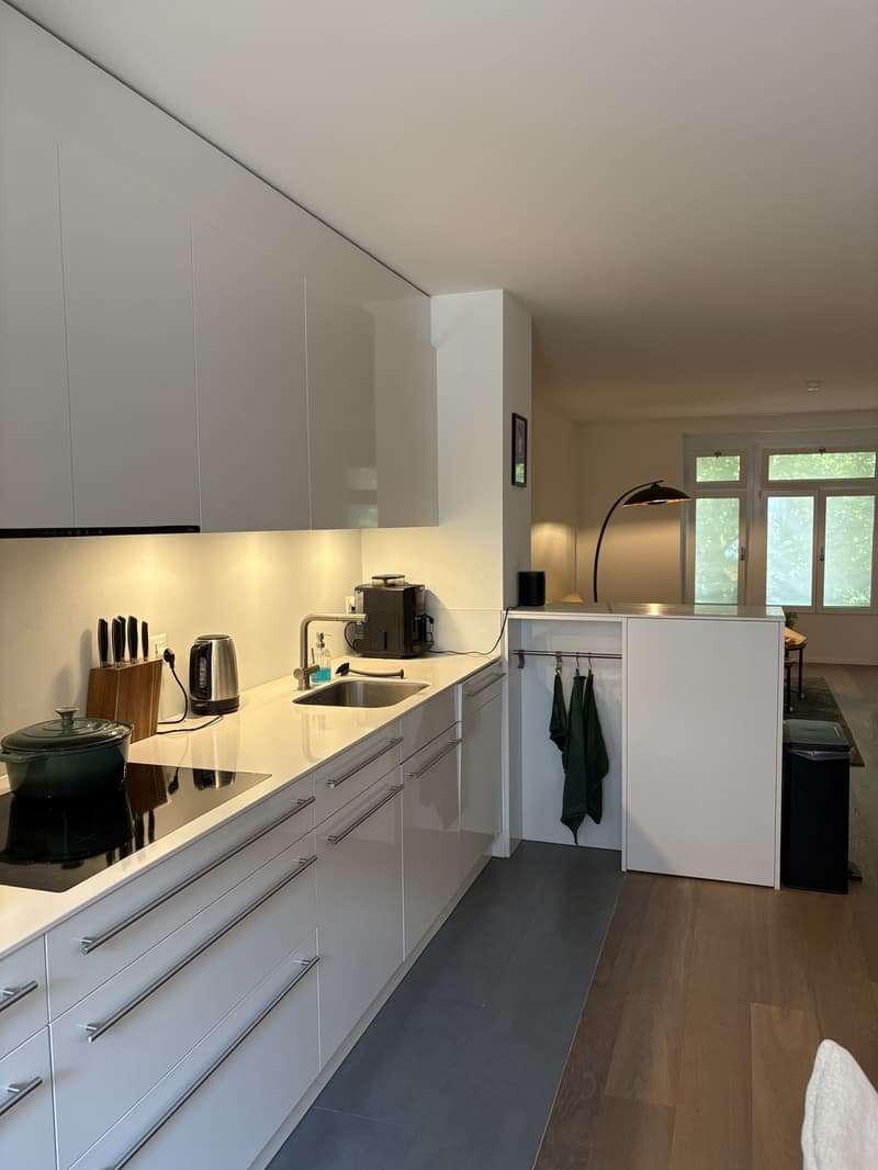 Exklusive 3,5-Zimmerwohnung an bester Lage in Luzern (5)