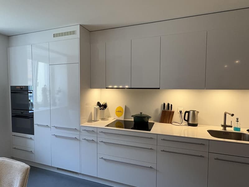 Exklusive 3,5-Zimmerwohnung an bester Lage in Luzern (4)
