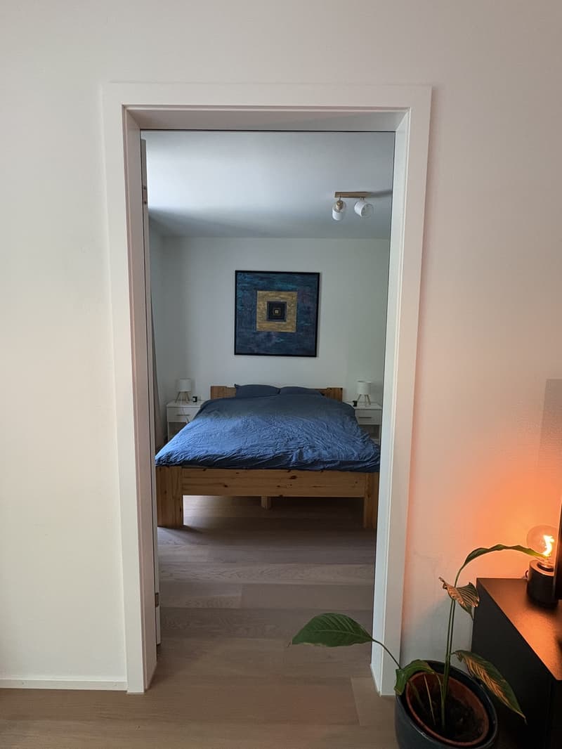 Exklusive 3,5-Zimmerwohnung an bester Lage in Luzern (10)