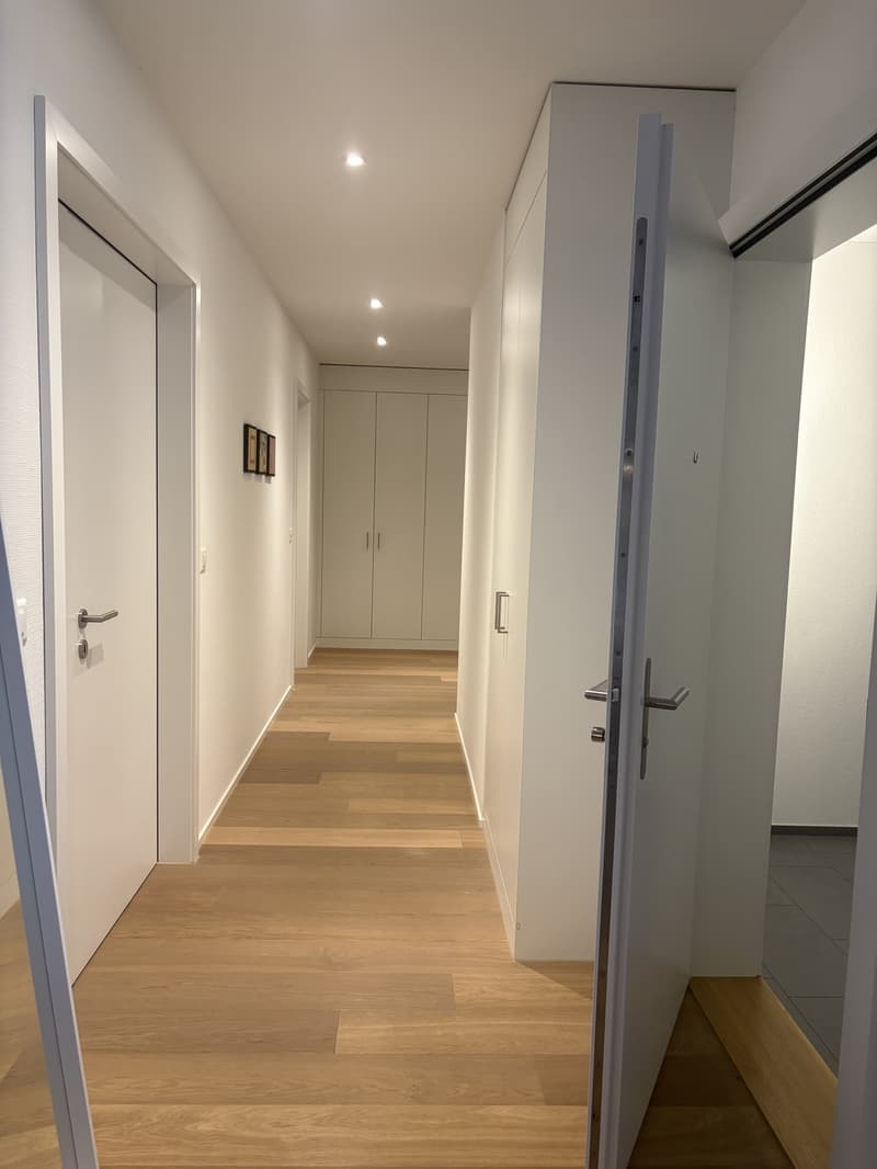 Exklusive 3,5-Zimmerwohnung an bester Lage in Luzern (7)