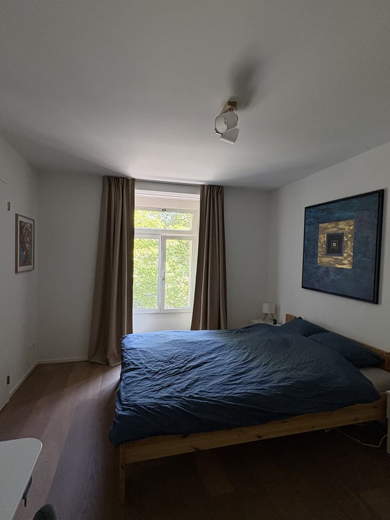 Exklusive 3,5-Zimmerwohnung an bester Lage in Luzern (8)