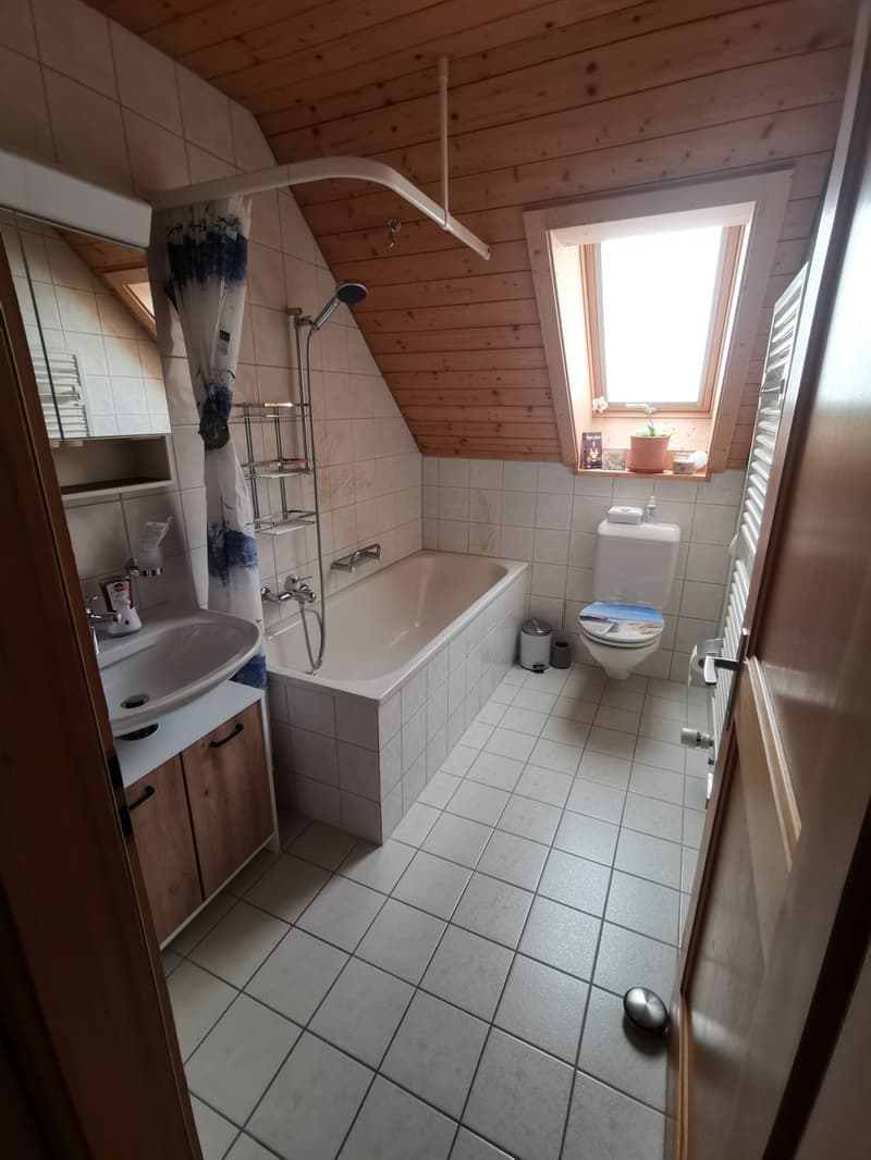 WG-ZIMMER IN GOLDIWIL (4)