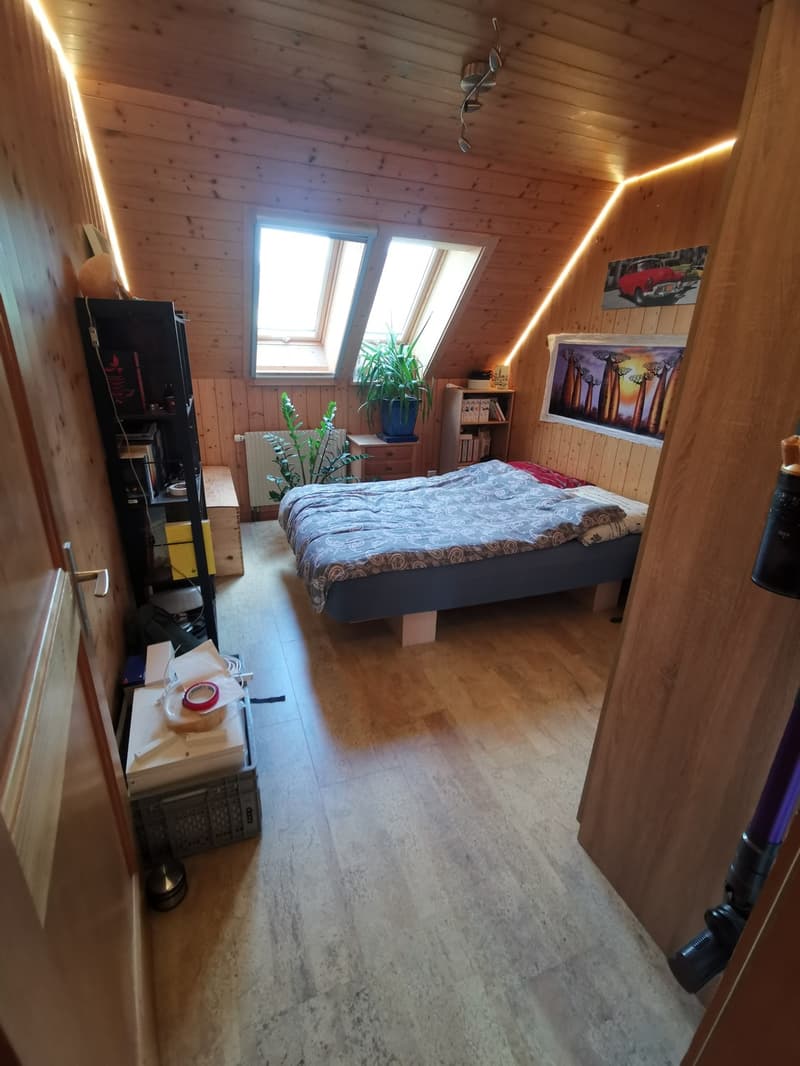 WG-ZIMMER IN GOLDIWIL (6)