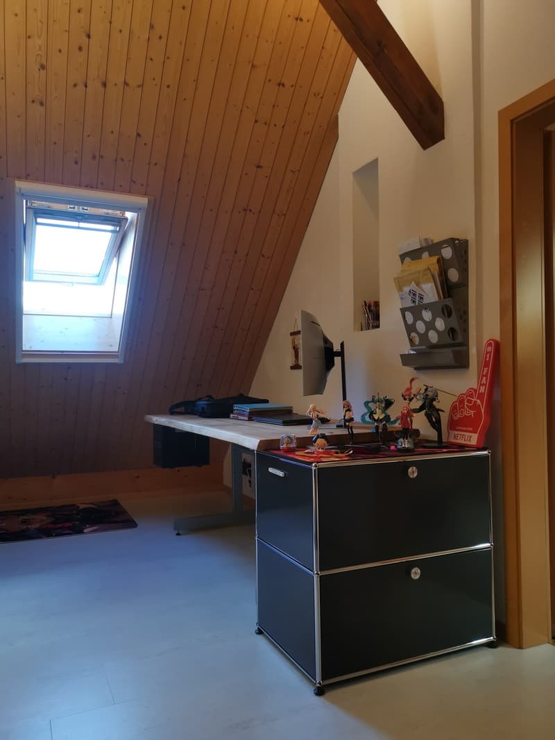 WG-ZIMMER IN GOLDIWIL (8)