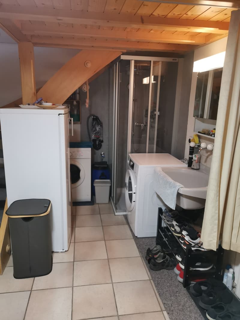 WG-ZIMMER IN GOLDIWIL (5)