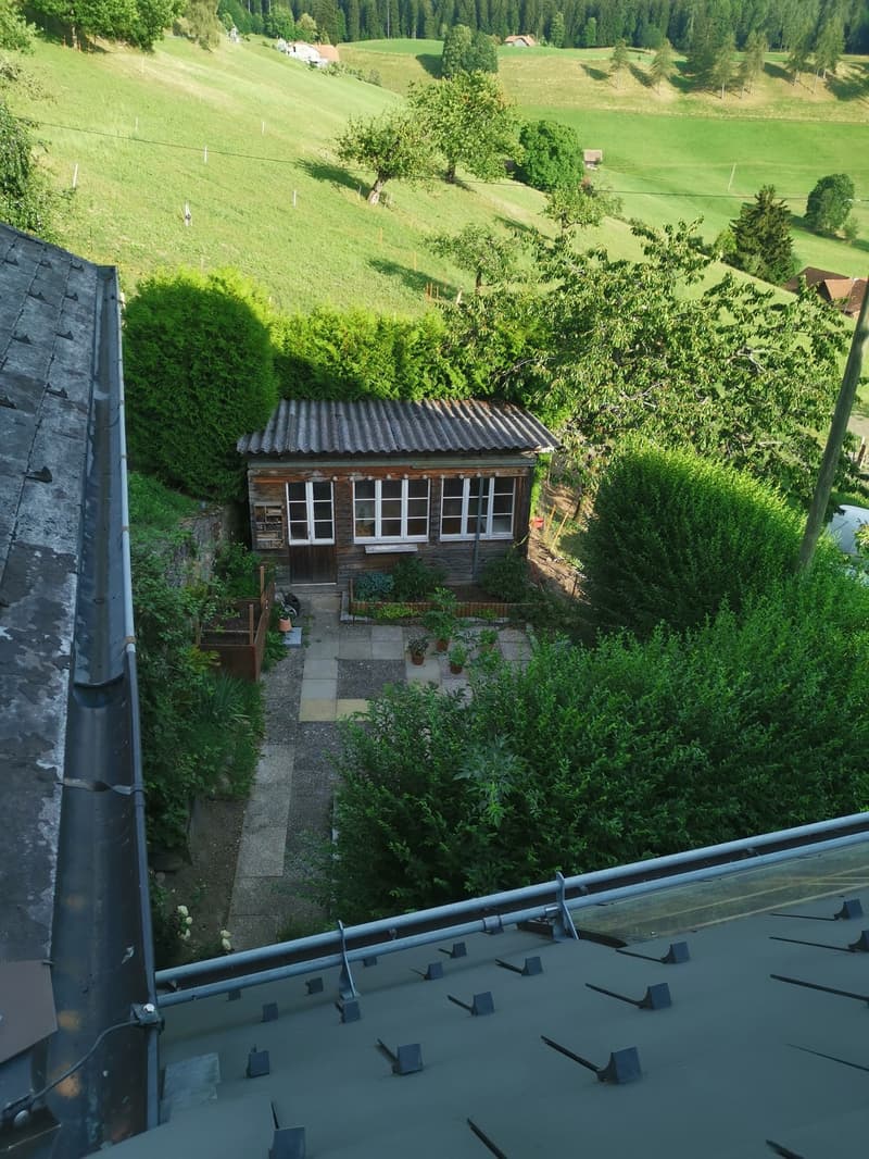 WG-ZIMMER IN GOLDIWIL (7)