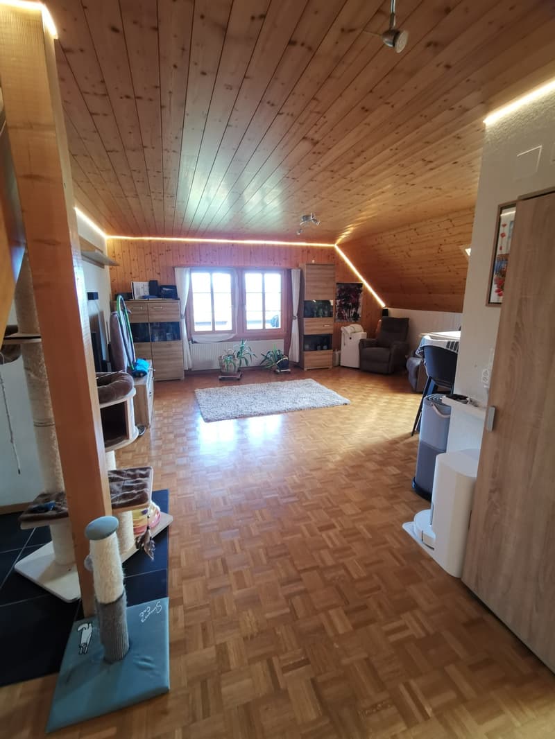 WG-ZIMMER IN GOLDIWIL (3)