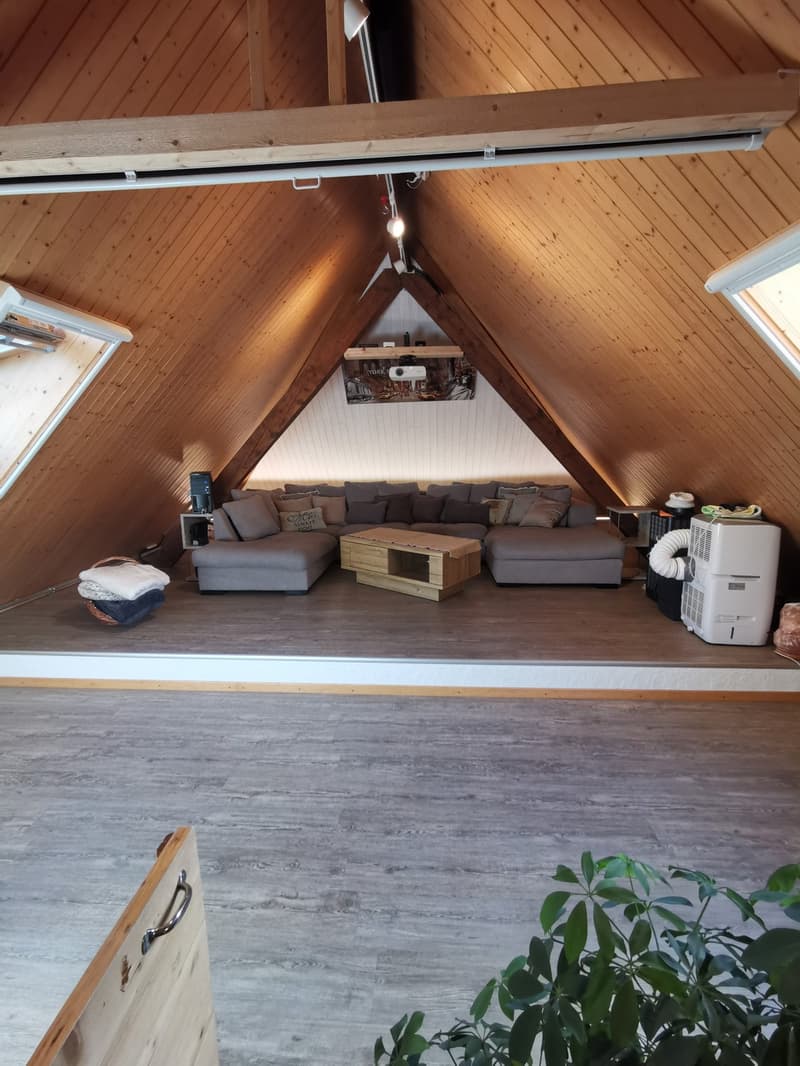 WG-ZIMMER IN GOLDIWIL (10)