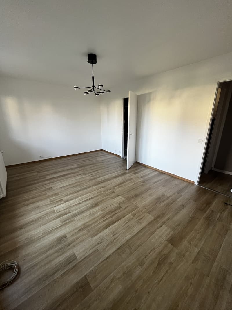 Apartment Takeover - Corsier (2)