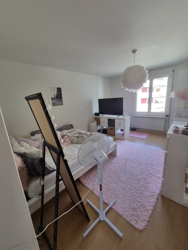 3 ½ Zimmer-Wohnung, 6030 Ebikon (5)