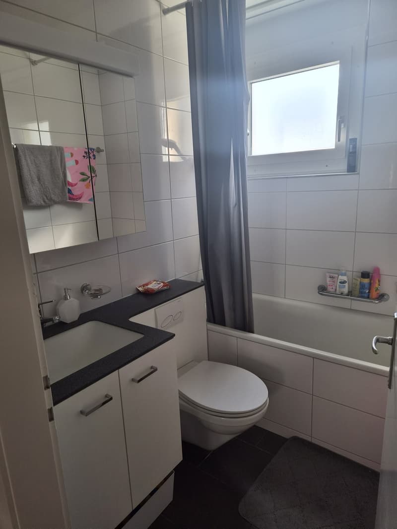 3 ½ Zimmer-Wohnung, 6030 Ebikon (10)
