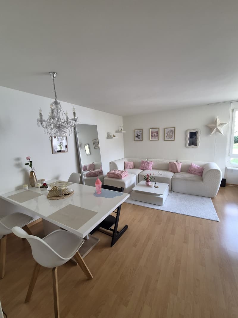 3 ½ Zimmer-Wohnung, 6030 Ebikon (1)