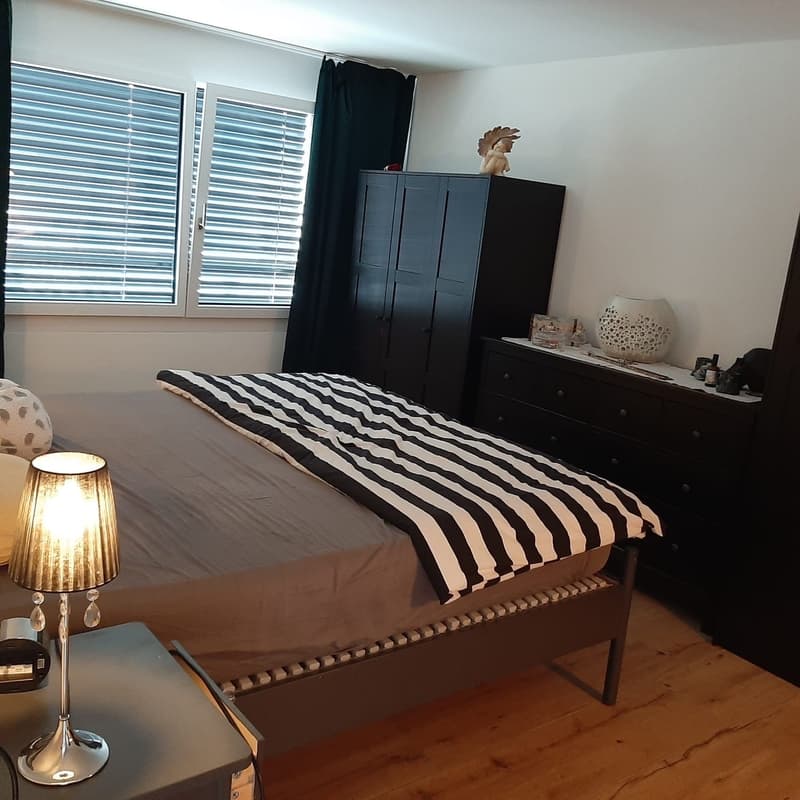 Moderne Neubau 3,5 Zimmer- Wohnung (3)