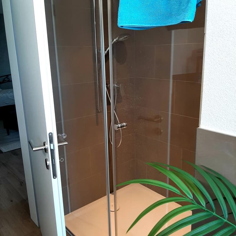 Moderne Neubau 3,5 Zimmer- Wohnung (8)