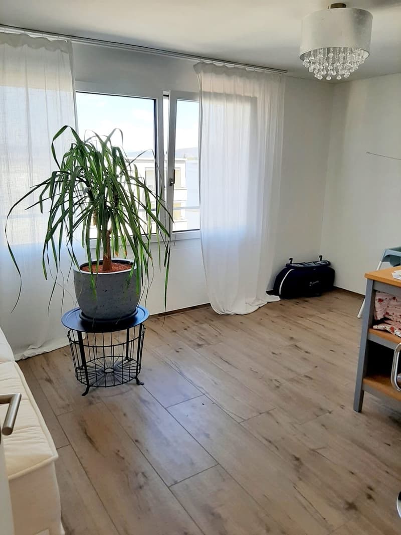 Moderne Neubau 3,5 Zimmer- Wohnung (6)