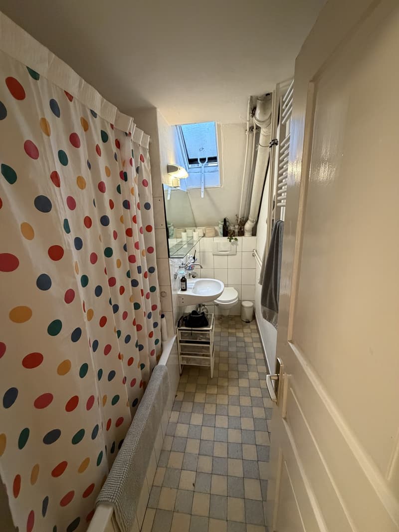 Room in a shared flat in the city center (6)