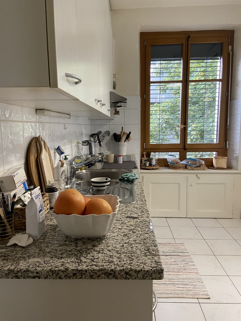 Appartement 3 pièces, 1205 Genève (4)