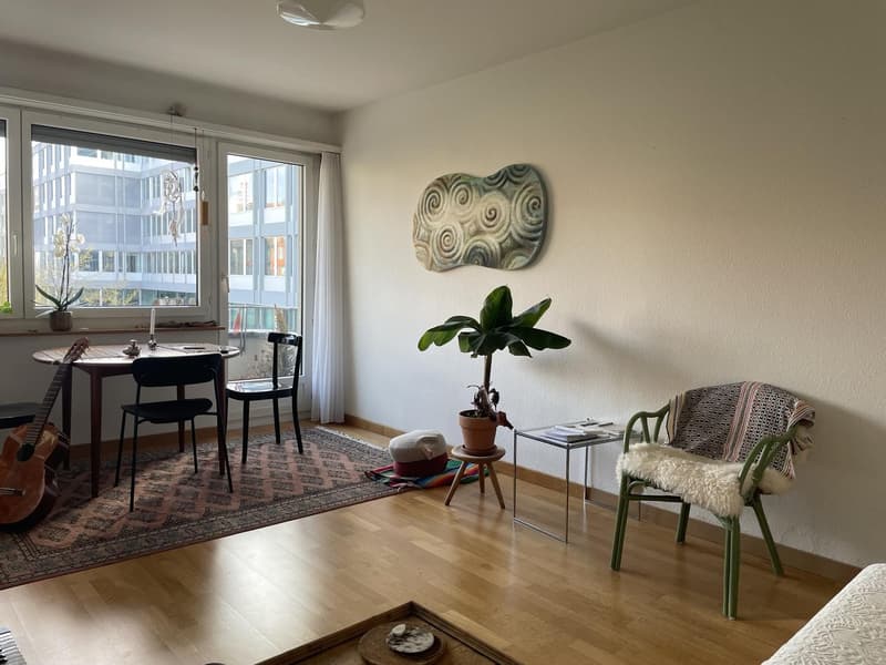 Untermiete - 2.5-Zi-Wohnung zur Untermiete für 3 Monate (2)