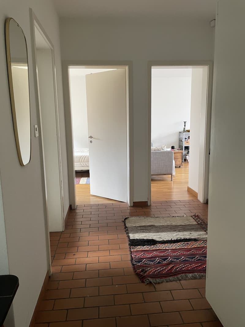 Untermiete - 2.5-Zi-Wohnung zur Untermiete für 3 Monate (8)