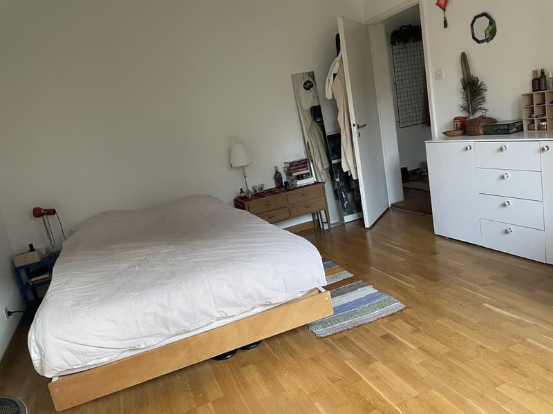 Untermiete - 2.5-Zi-Wohnung zur Untermiete für 3 Monate (5)