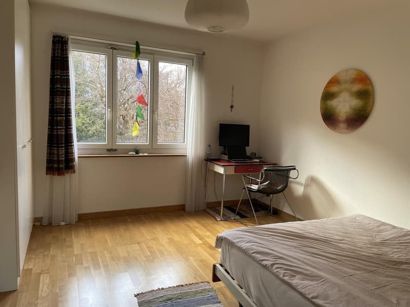 Untermiete - 2.5-Zi-Wohnung zur Untermiete für 3 Monate (4)