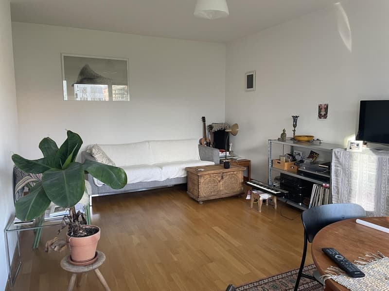 Untermiete - 2.5-Zi-Wohnung zur Untermiete für 3 Monate (3)