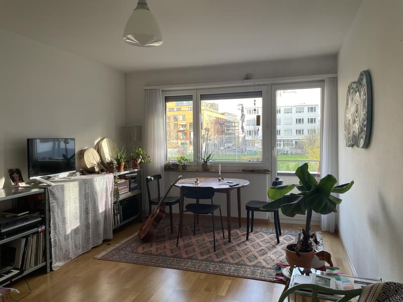 Untermiete - 2.5-Zi-Wohnung zur Untermiete für 3 Monate (1)